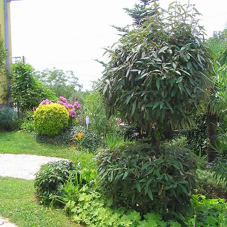 Villa Mary *